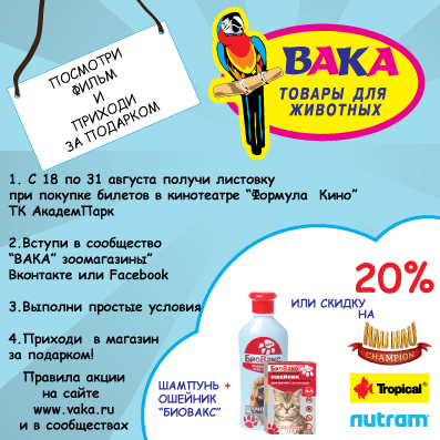 Акция в подарок листовка 63