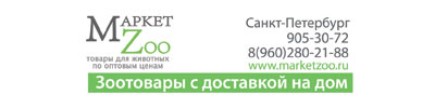 маркетзоо