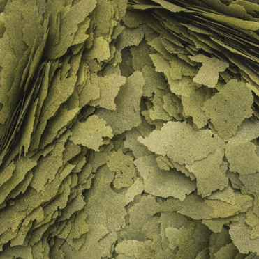 3-Algae-Flakes-100