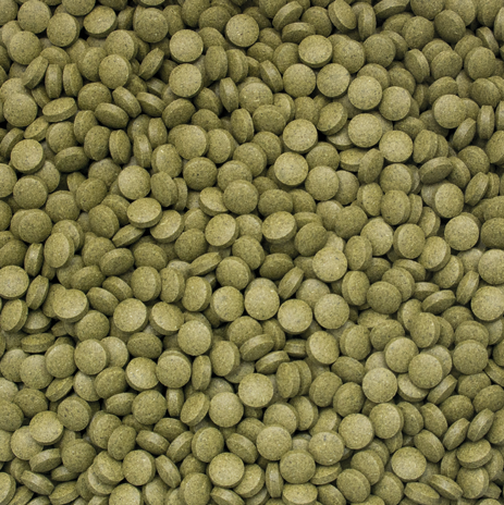 3-Algae-Tablets-B-100
