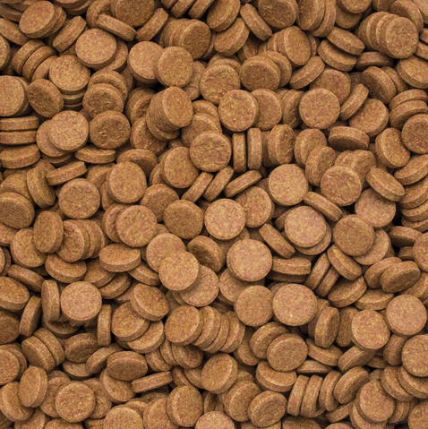 Vitality-Color-Tablets-100
