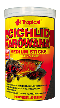 cichlid-arowana-medium 1000