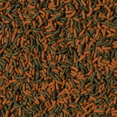 cichlid-red-green-medium-sticks-100
