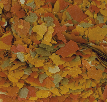 goldfish-color-100