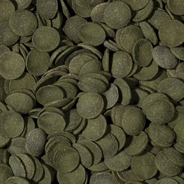 green-algae-wafers-100