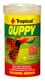 guppy-100-ml