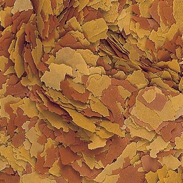 vitality-color-100