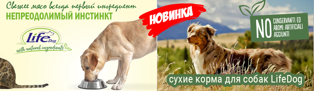 спасатель1