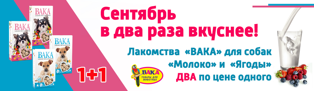 moloko0919