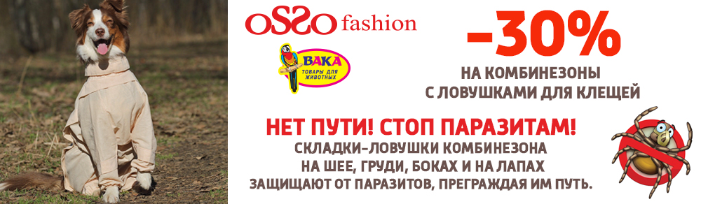 osso0919