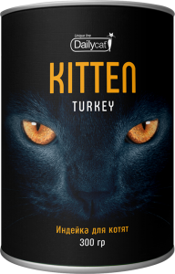 kitten