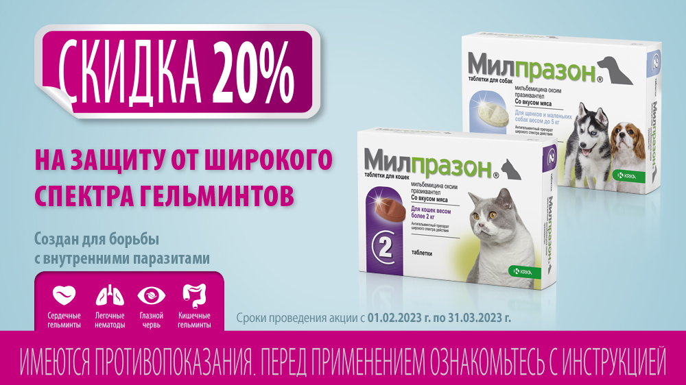 2023 01 Milprazon 1000х562 Final