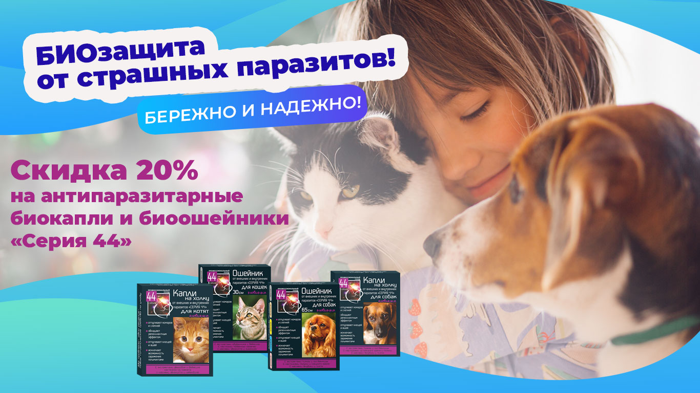 скидка в зоомагазине 440523