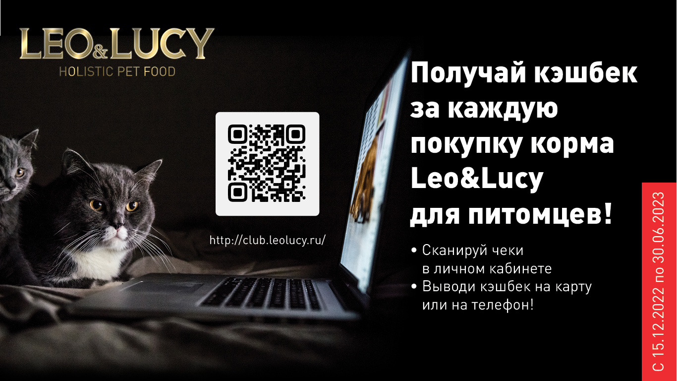 LL CASHBACK3