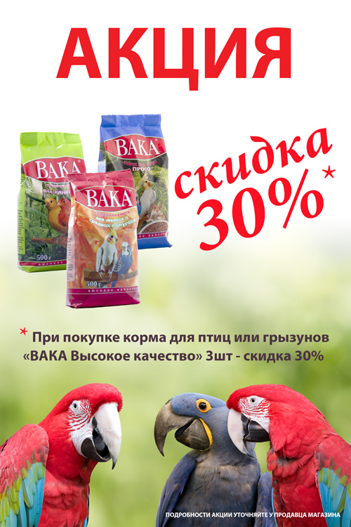 Зоомагазин подарочная карта