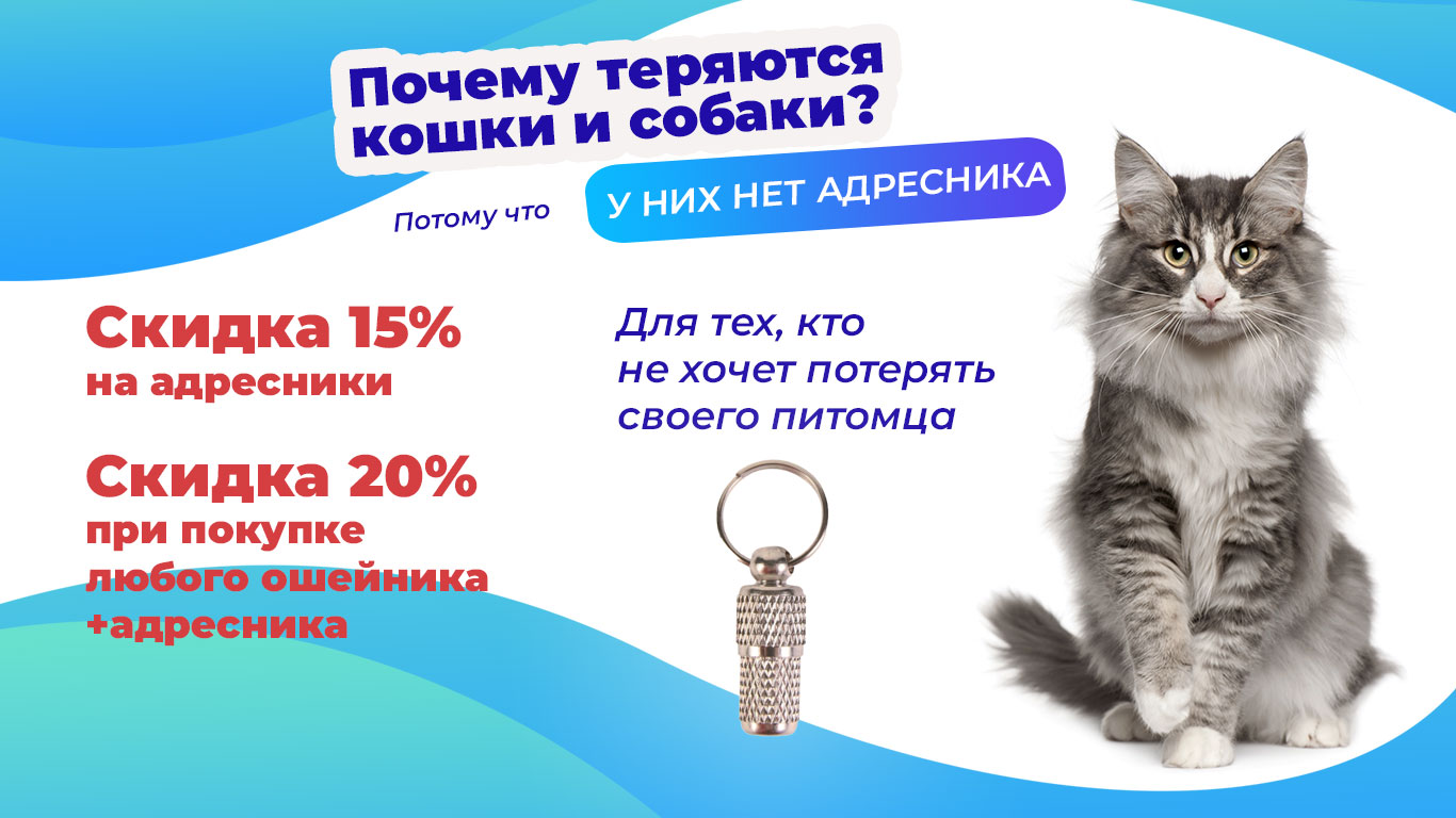скидка в зоомагазине adresnik0523