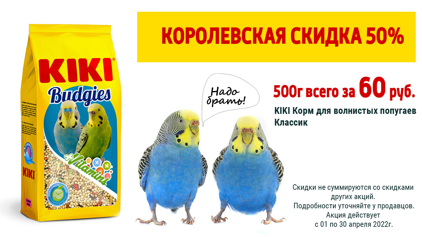 скидка в зоомагазине kiki0422