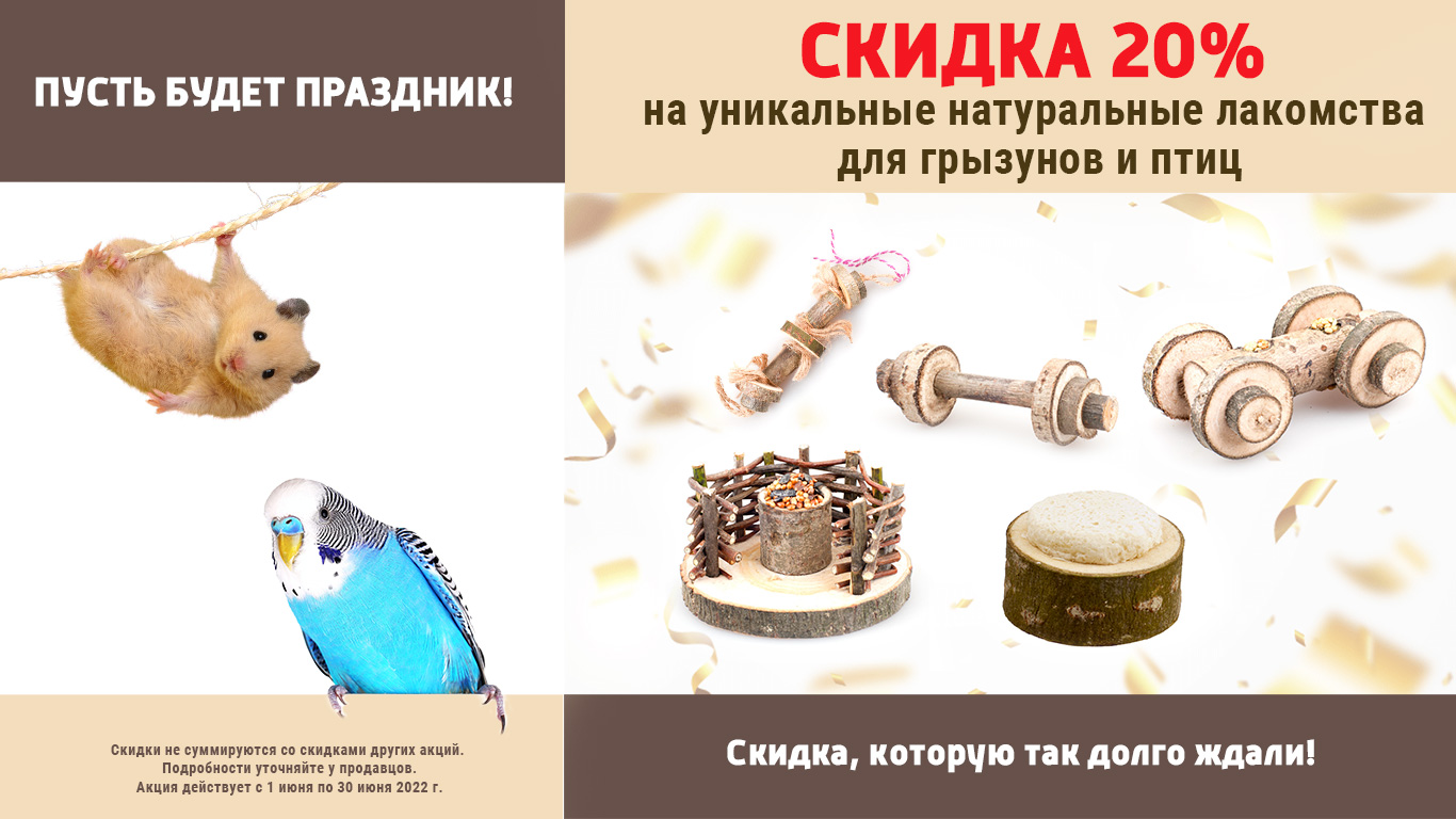 скидка в зоомагазине lakom0622
