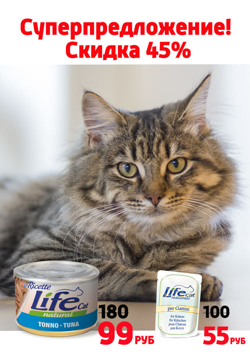 lifecat1