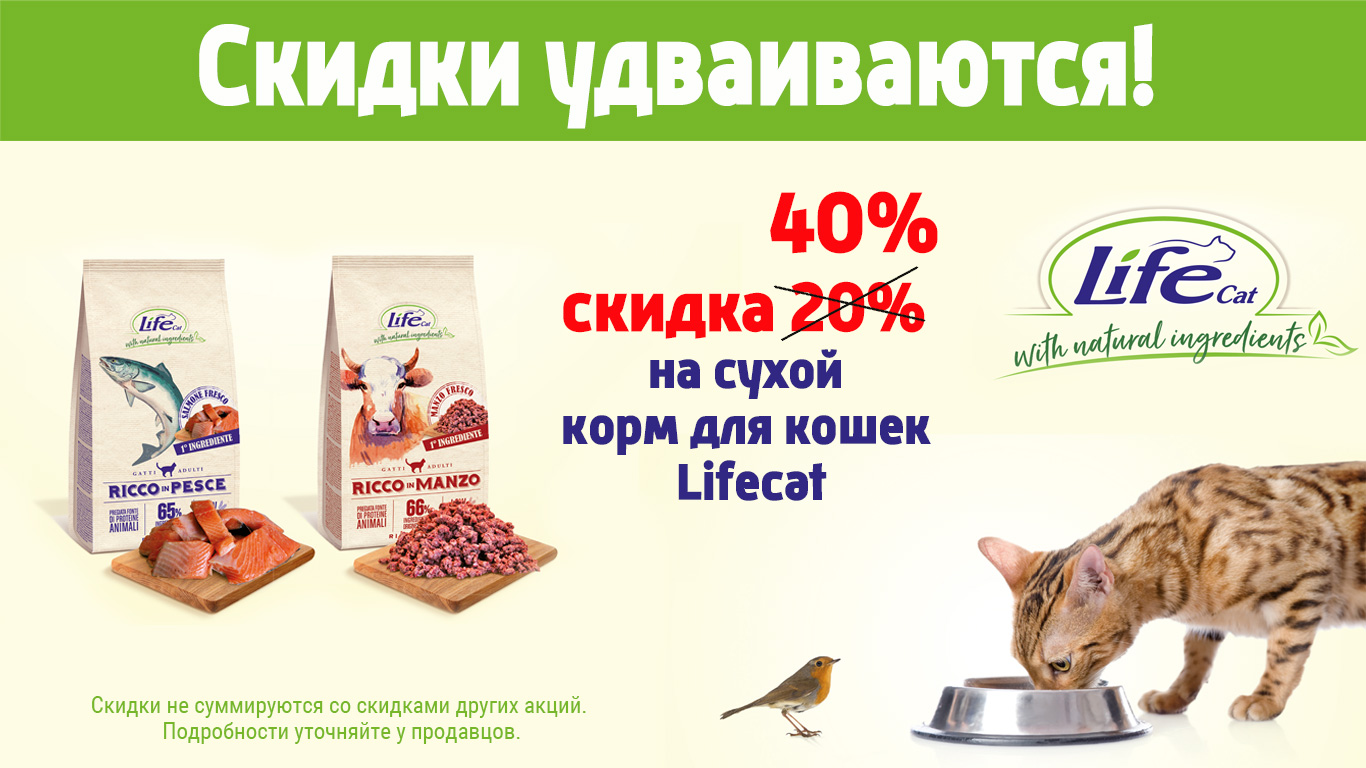 lifecat10221