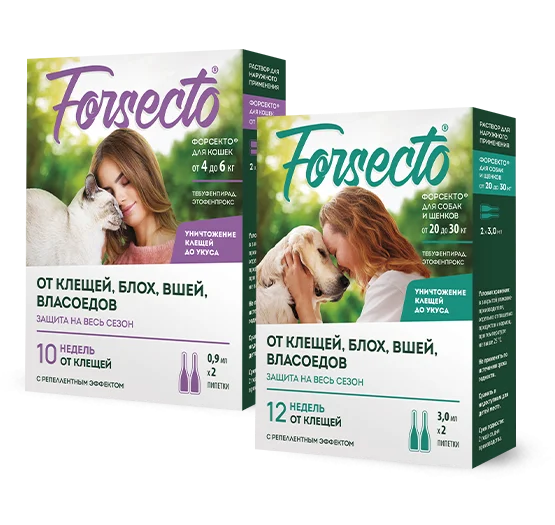 forsecto 03