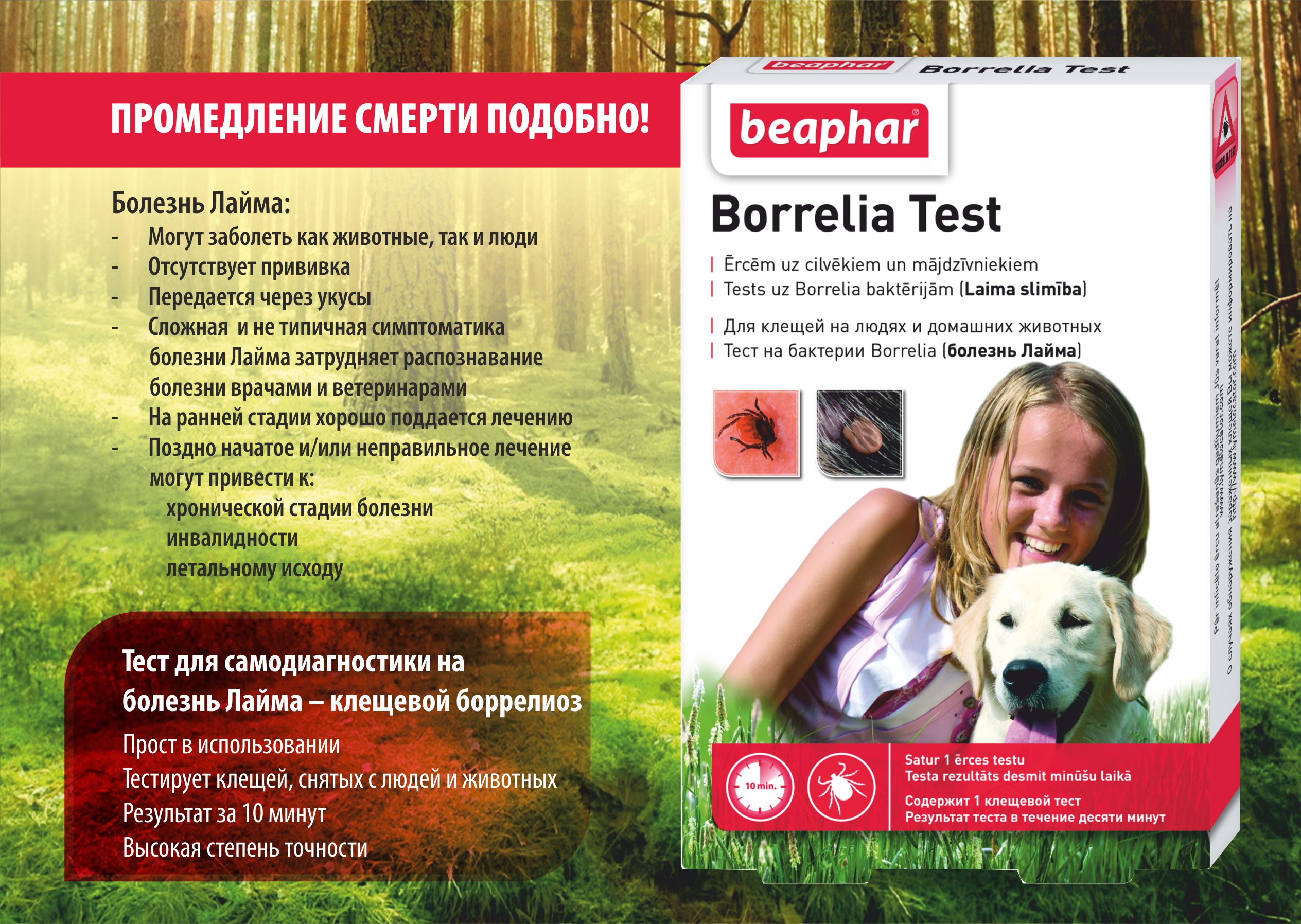 borrelia test