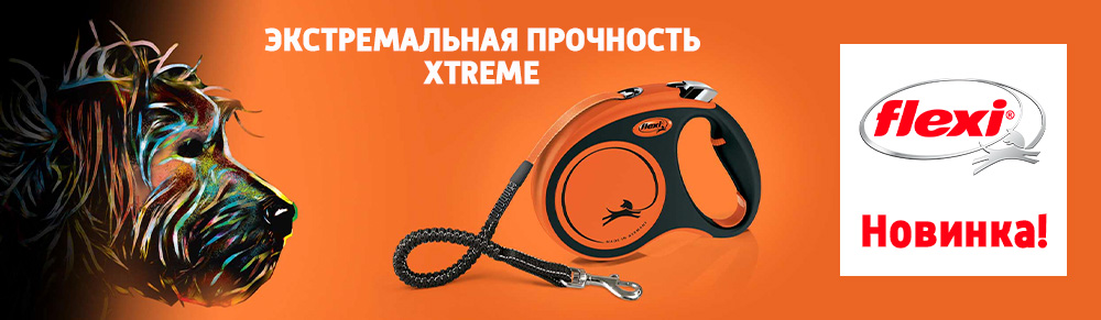 Комкорм Зоомагазин Интернет Магазин Спб Комкорм Зоомагазин Интернет Магазин Спб