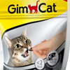 gimnews