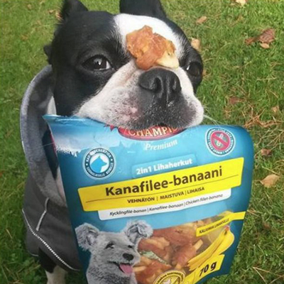 лакомство для собак с бананом