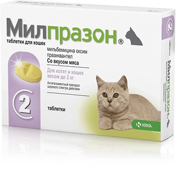 Милпразон для кошек