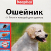 beaph