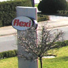 flexi