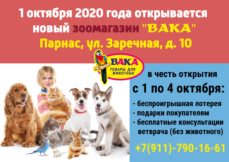 Вака Спб Зоомагазин Интернет Магазин Спб Вака Спб Зоомагазин Интернет Магазин Спб