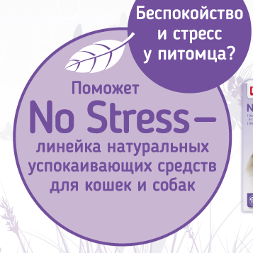 news No Stress 1000 700
