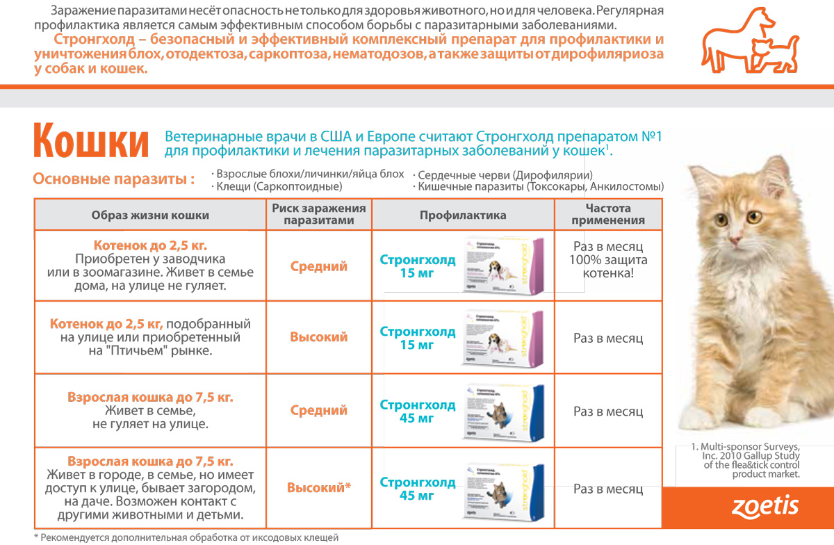 дозировка капли на холку для кошек