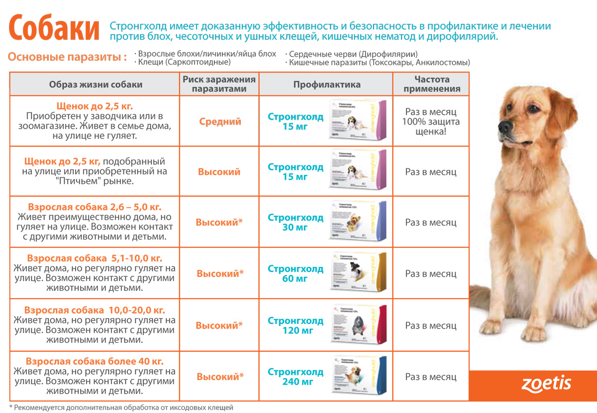 За раз нужно купить. Стронгхолд для собак 2,6 - 5. Капли от блох и глистов для щенков стронгхолд. Стронгхолд для собак 360 мг. Капли стронгхолд для щенков.